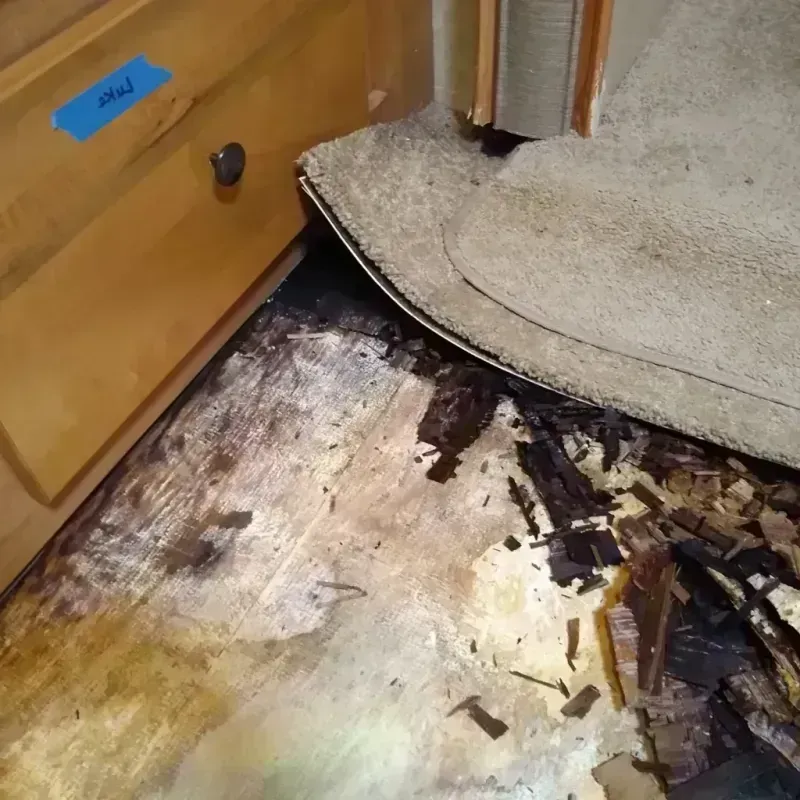 Wood Floor Water Damage in Grand Rapids, MN